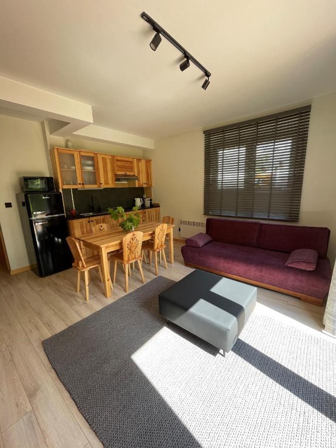 Apartament Zakopane Willa Hrube Parter Z Tarasem I Kominkiem Εξωτερικό φωτογραφία