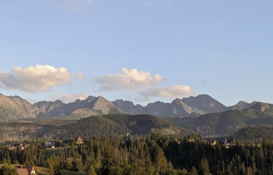 Apartament Zakopane Willa Hrube Parter Z Tarasem I Kominkiem Εξωτερικό φωτογραφία