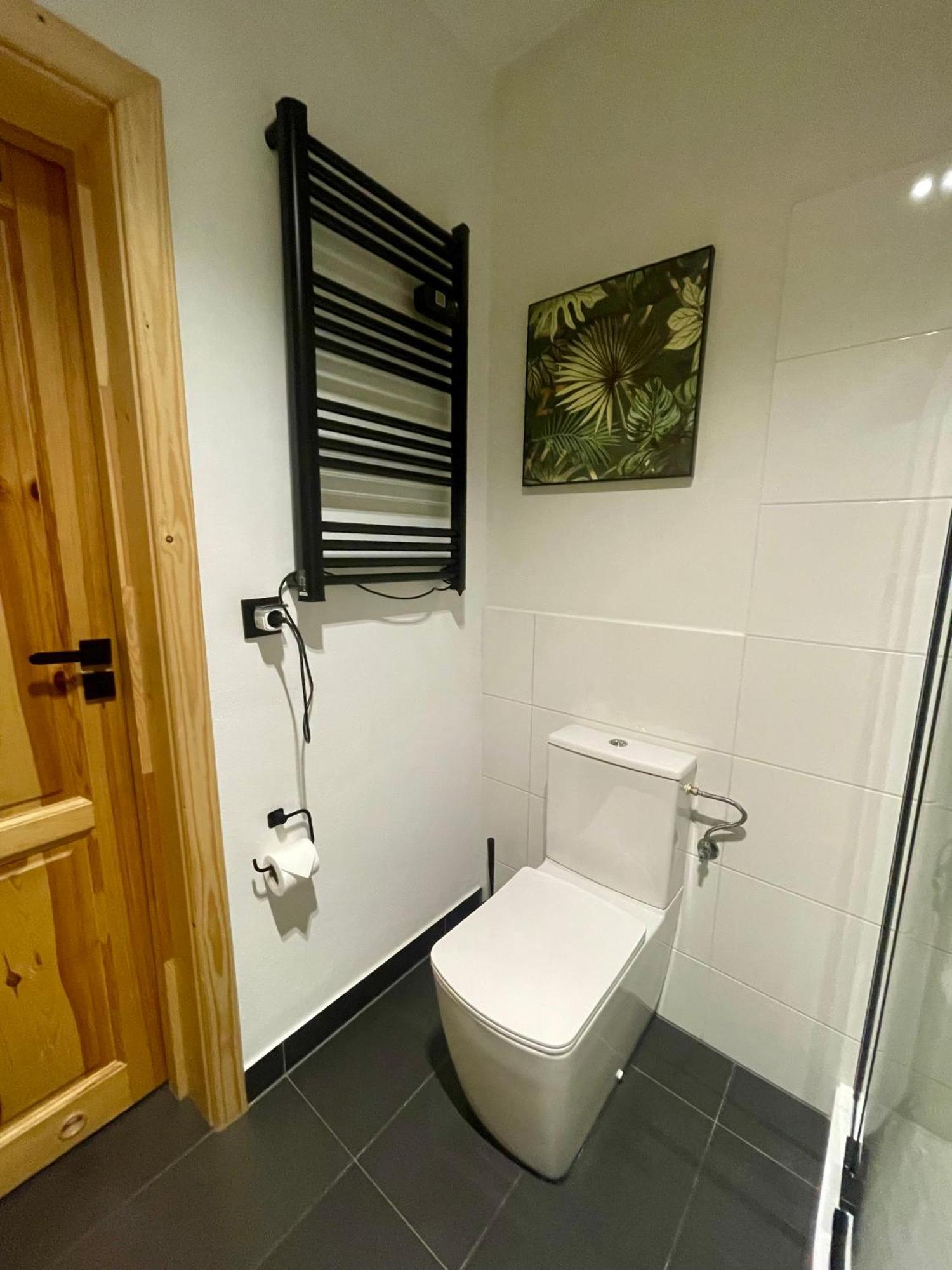 Apartament Zakopane Willa Hrube Parter Z Tarasem I Kominkiem Εξωτερικό φωτογραφία